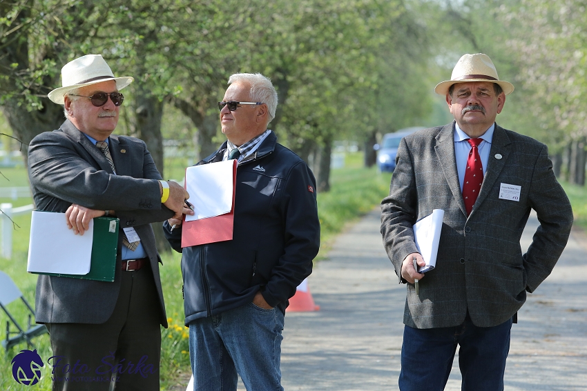 Kladruby 2019 - středa