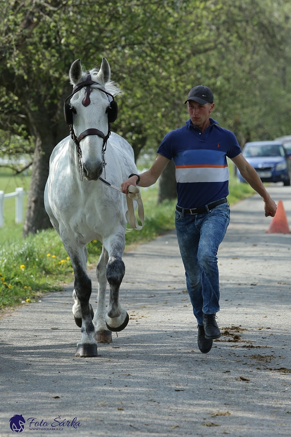 Kladruby 2019 - středa