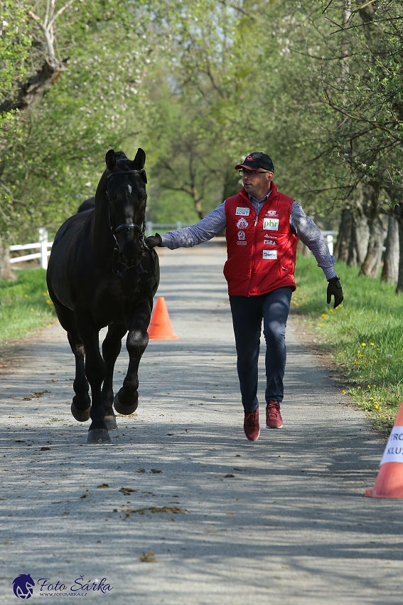 Kladruby 2019 - středa