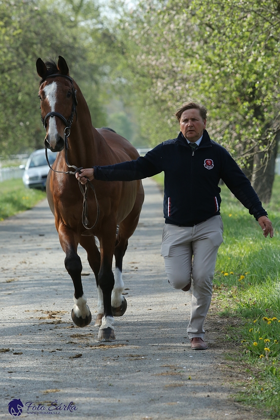 Kladruby 2019 - středa