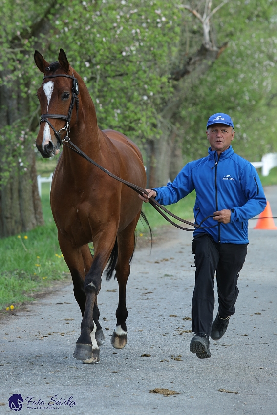 Kladruby 2019 - středa