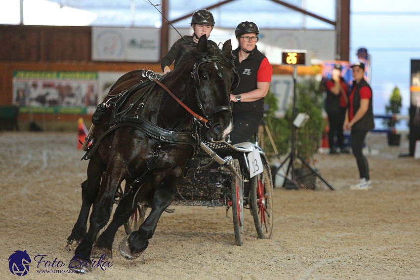 Královice 2019 - finále spřežení