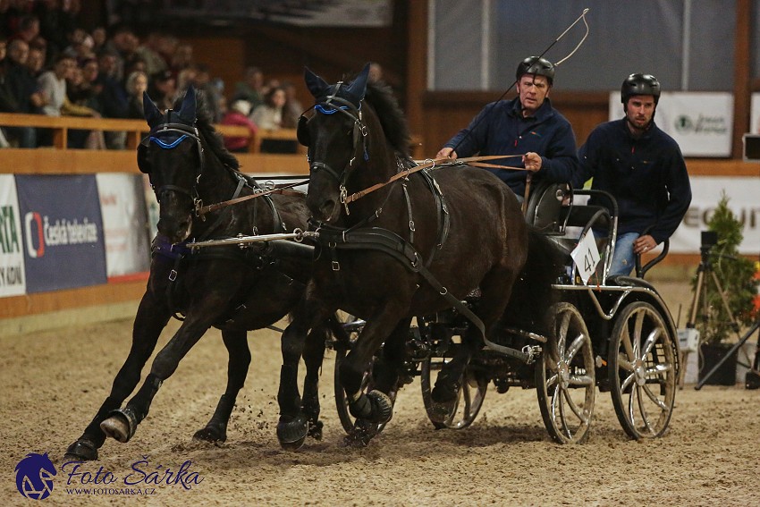 Královice 2019 - finále spřežení