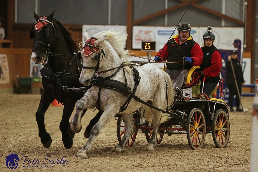 Královice 2019 - finále spřežení