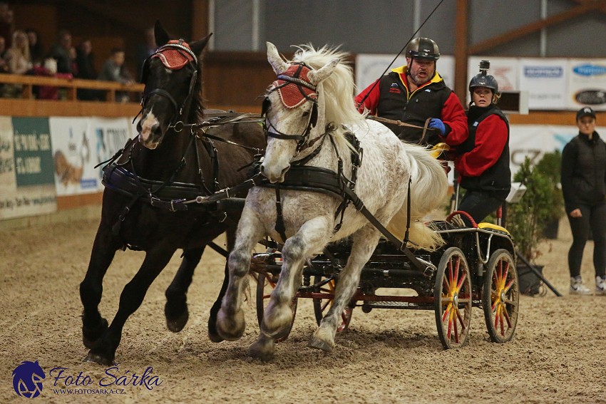 Královice 2019 - finále spřežení