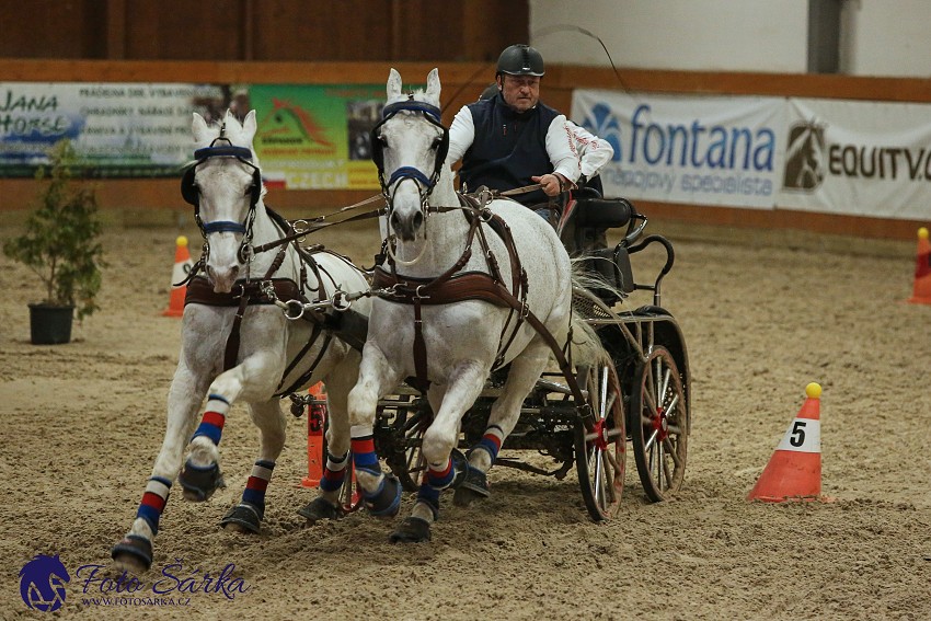 Královice 2019 - finále spřežení