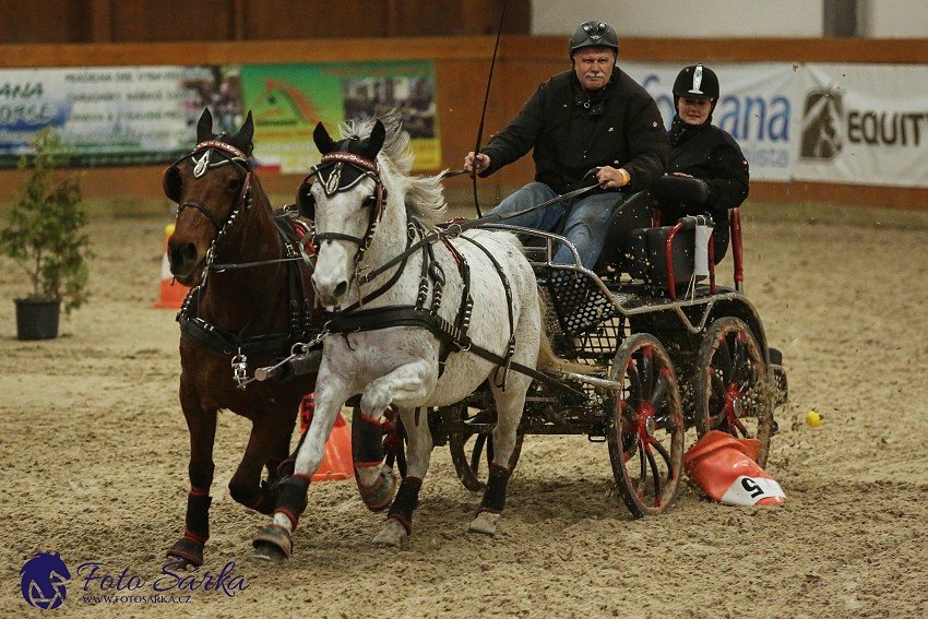 Královice 2019 - finále spřežení