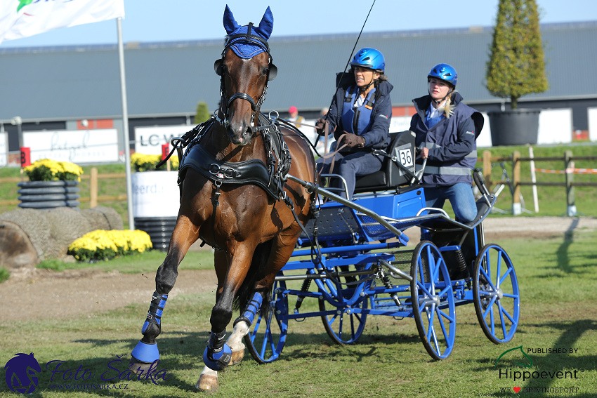 Kronenberg - maraton