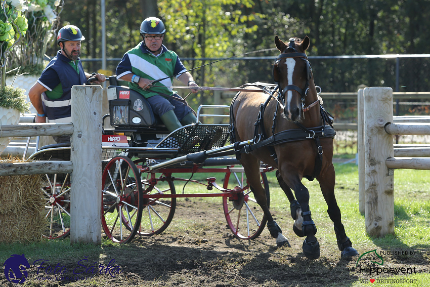 Kronenberg - maraton