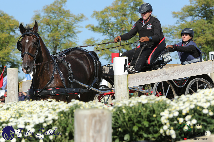 Kronenberg - maraton