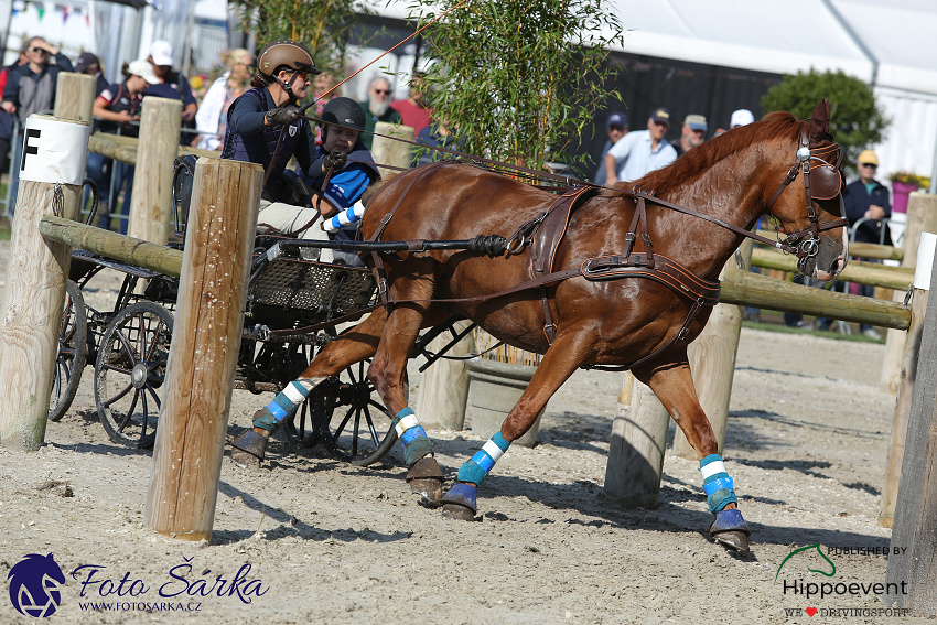 Kronenberg - maraton