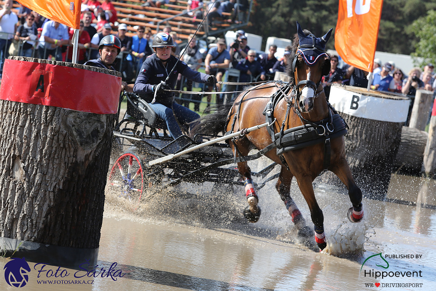 Kronenberg - maraton