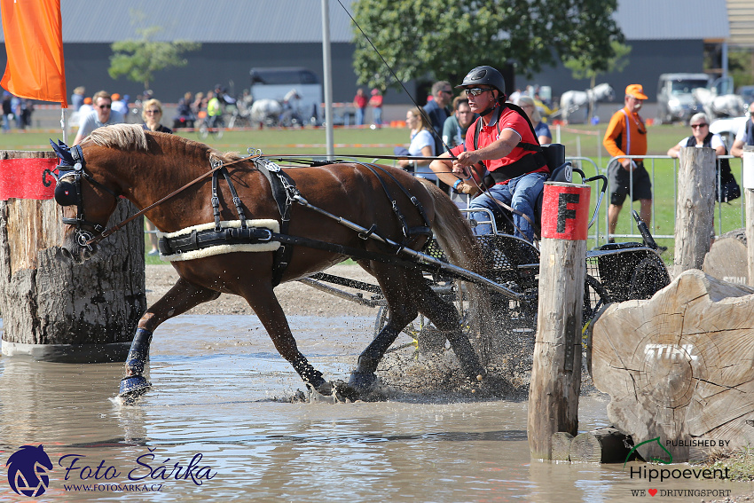 Kronenberg - maraton