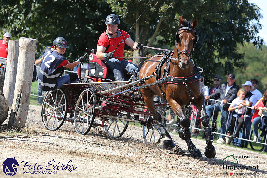 Kronenberg - maraton