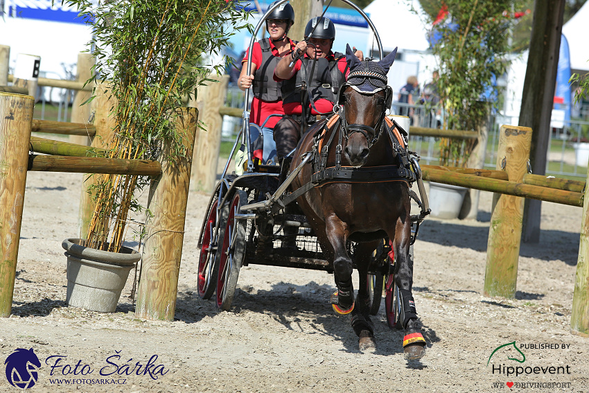 Kronenberg - maraton