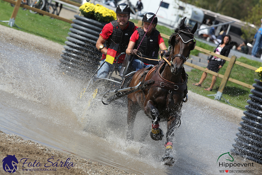 Kronenberg - maraton