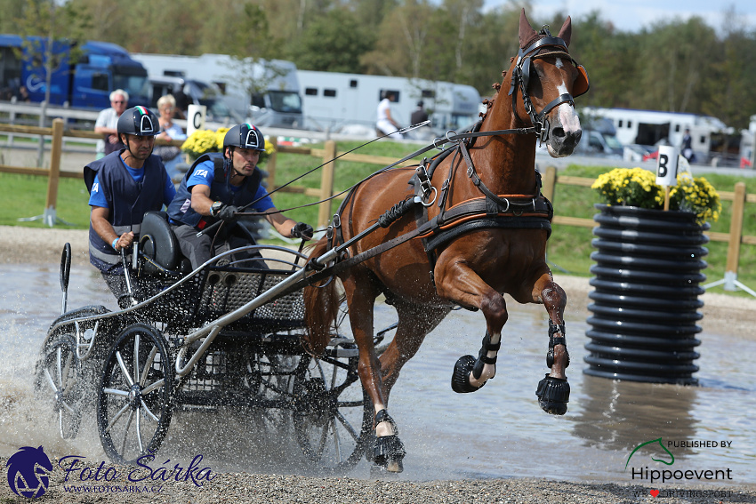 Kronenberg - maraton