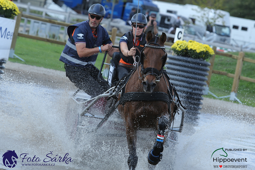 Kronenberg - maraton