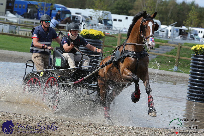 Kronenberg - maraton