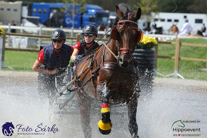 Kronenberg - maraton