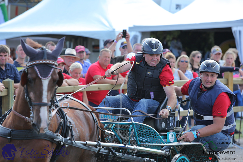 Kronenberg - maraton