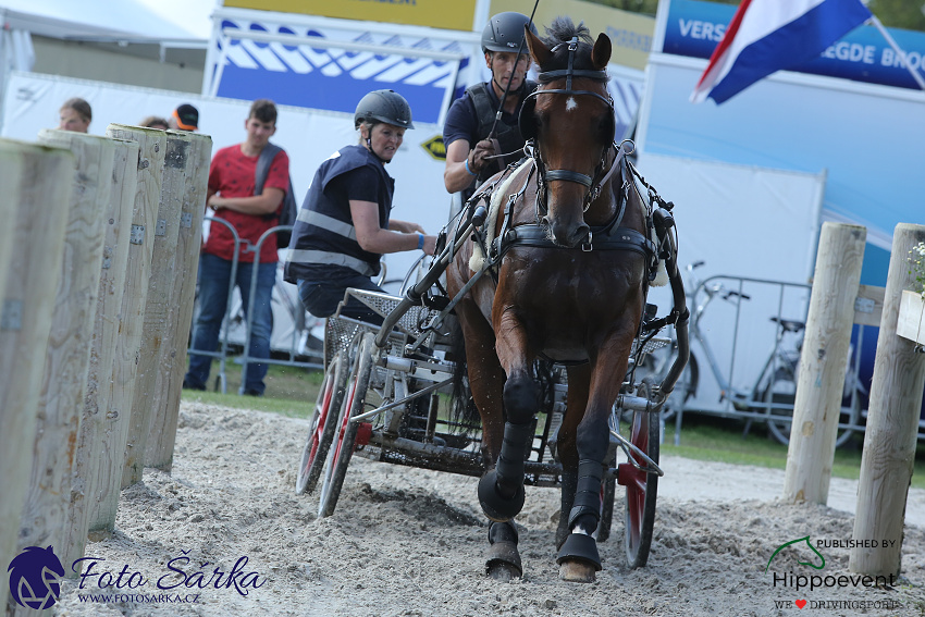 Kronenberg - maraton