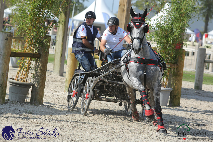 Kronenberg - maraton