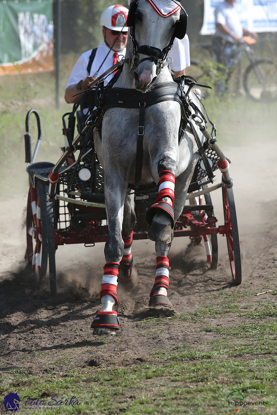 Kronenberg - maraton