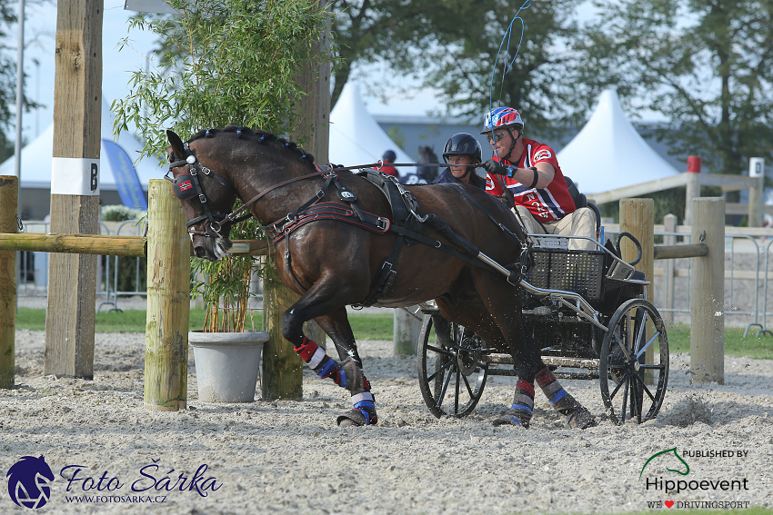 Kronenberg - maraton