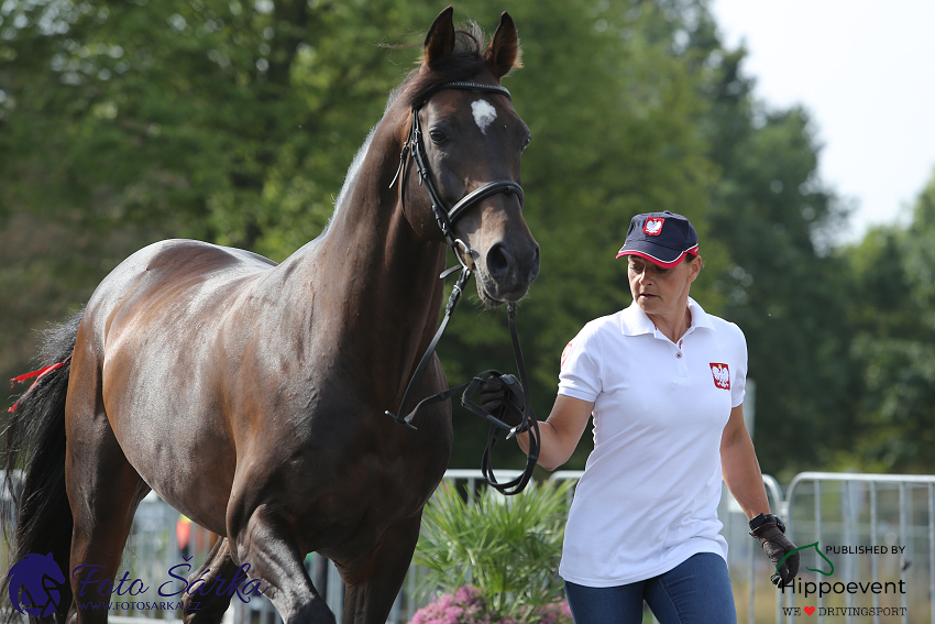 Kronenberg - veterinární inspekce