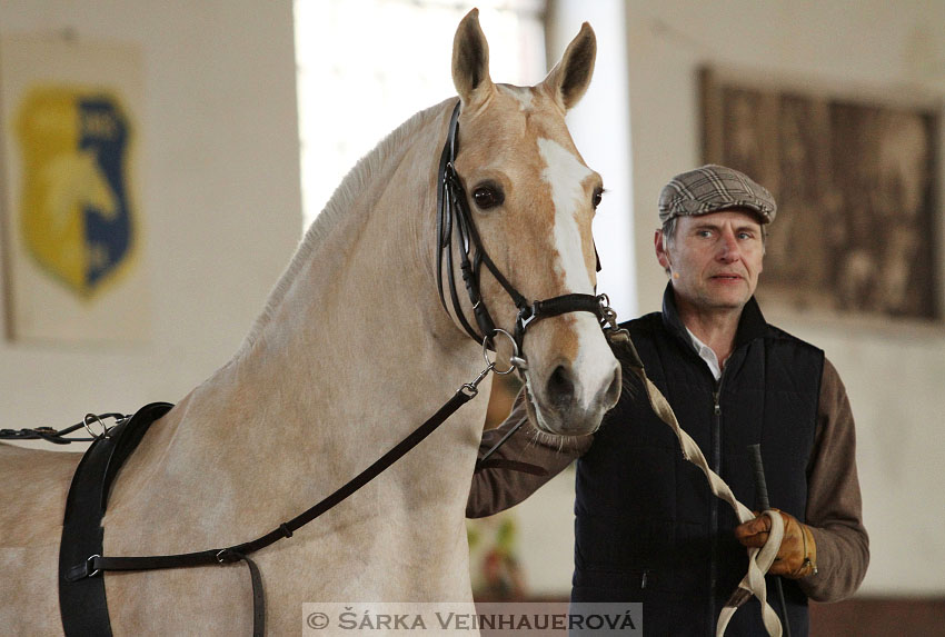 Marian Roden a kůň Timido 
