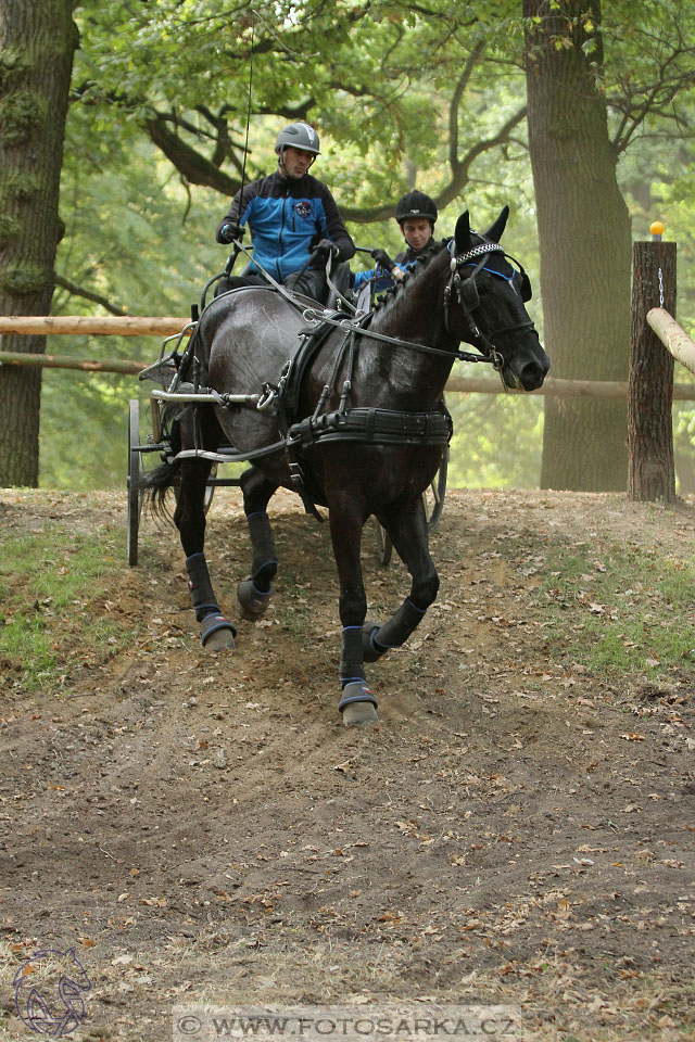MČR Heřmanův Městec