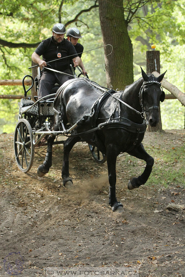 MČR Heřmanův Městec