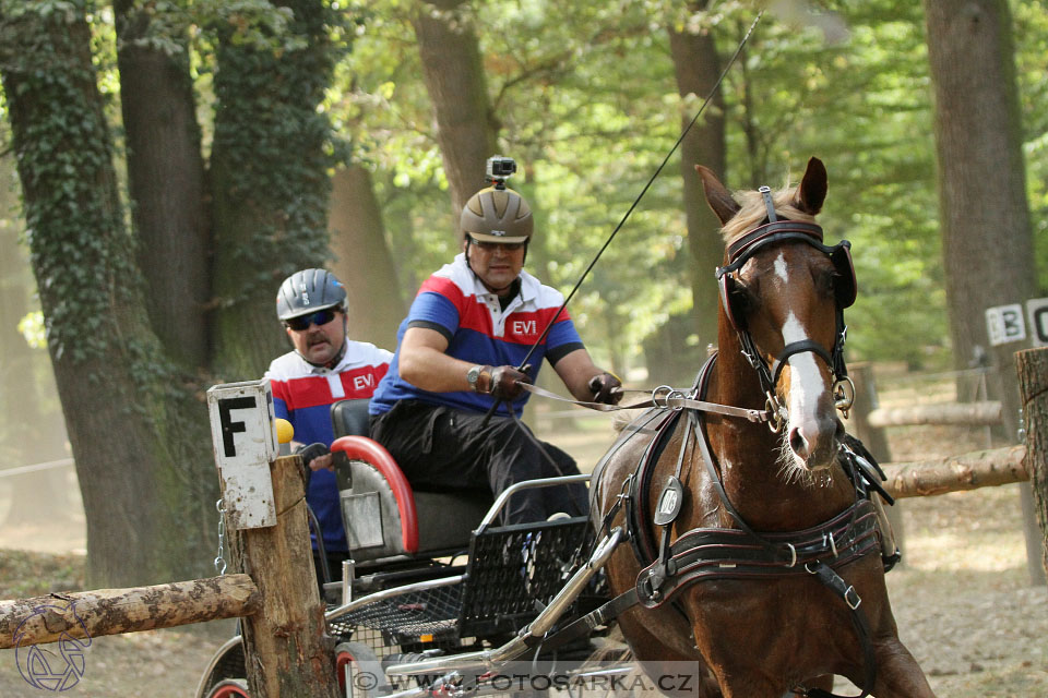 MČR Heřmanův Městec