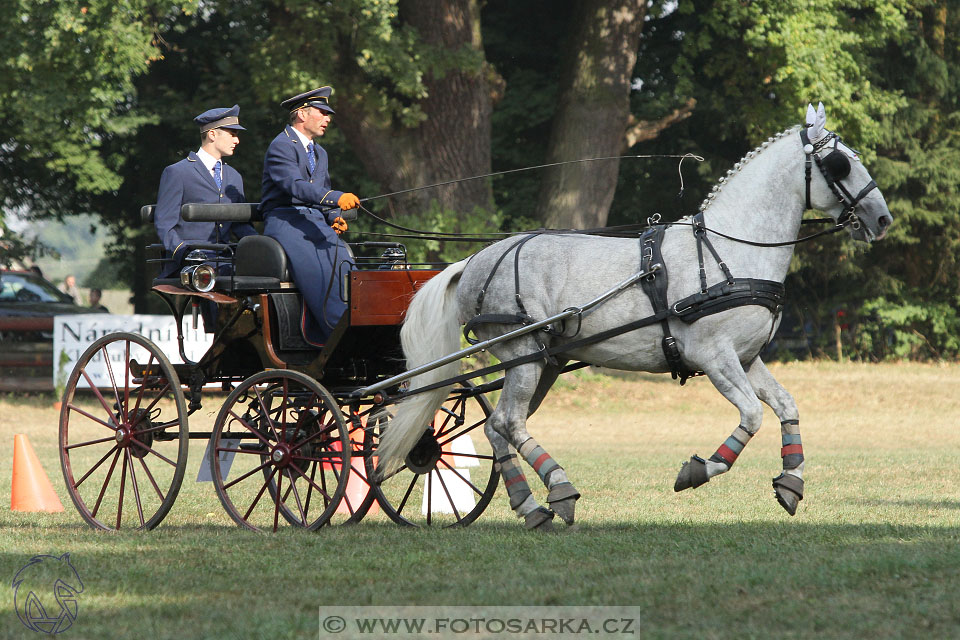 MČR Heřmanův Městec