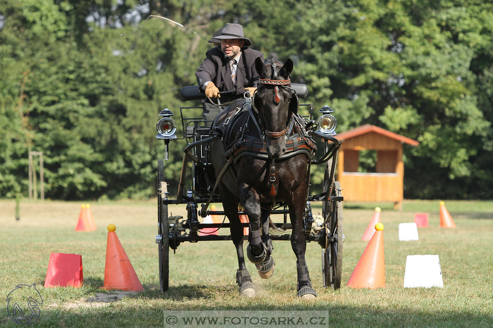 MČR Heřmanův Městec