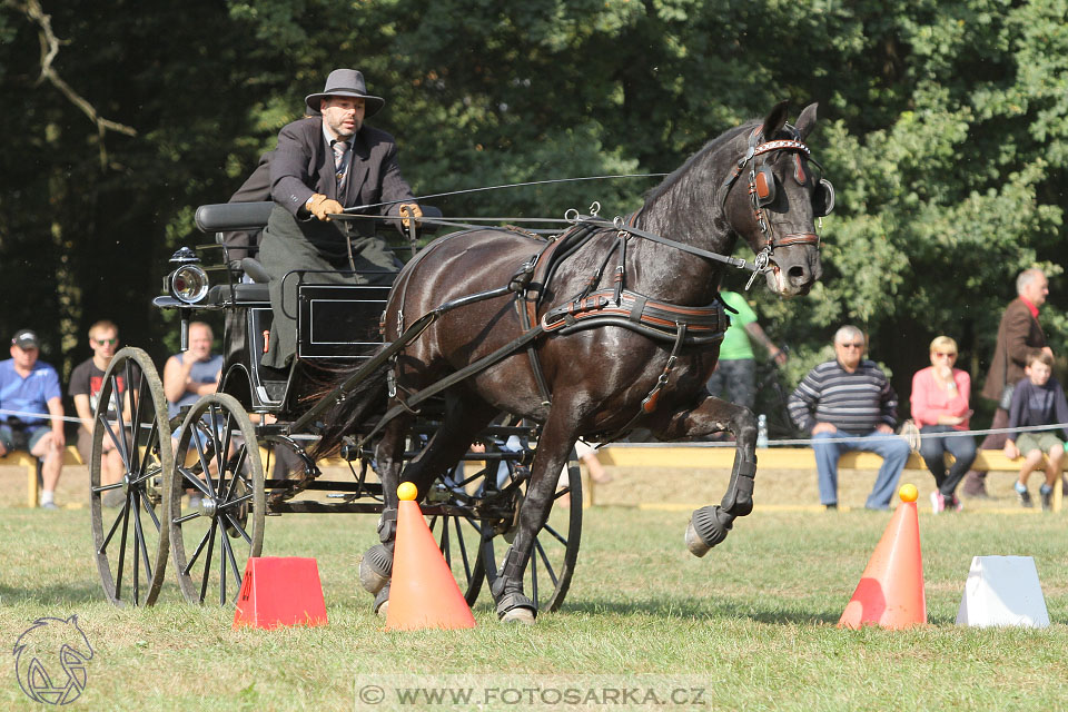 MČR Heřmanův Městec