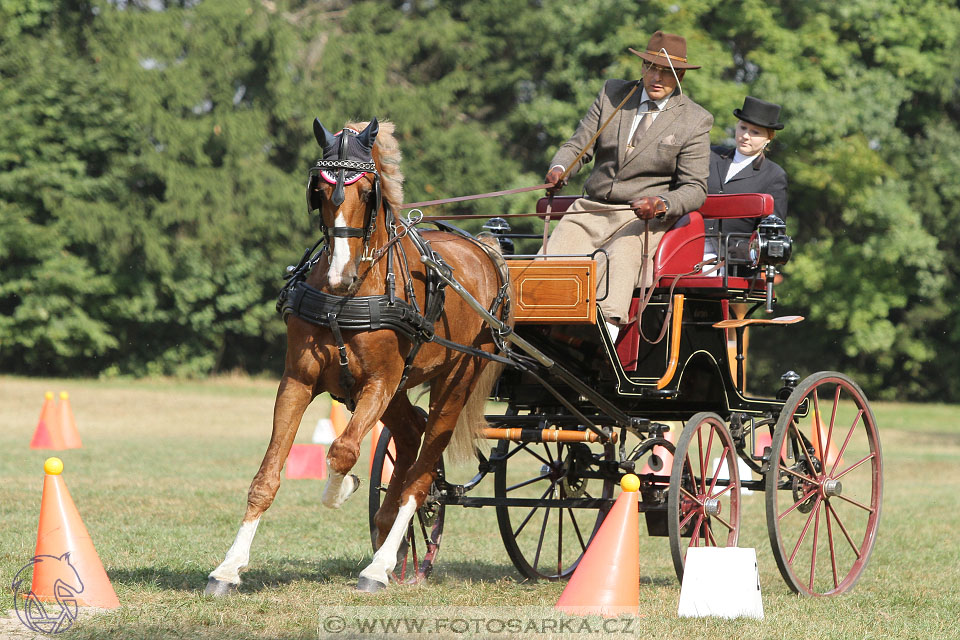 MČR Heřmanův Městec