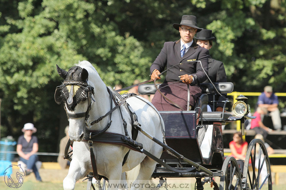 MČR Heřmanův Městec