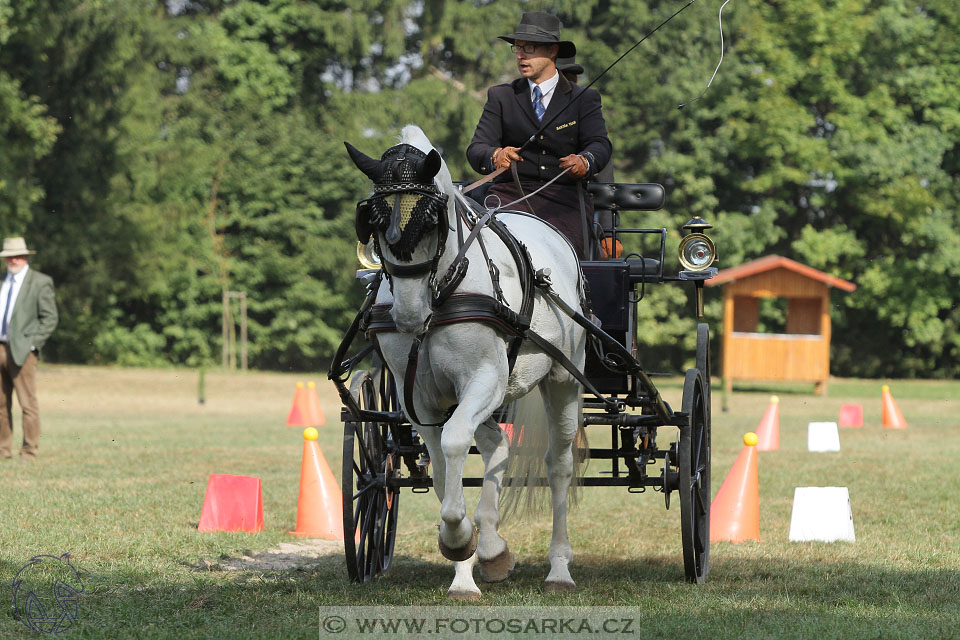 MČR Heřmanův Městec