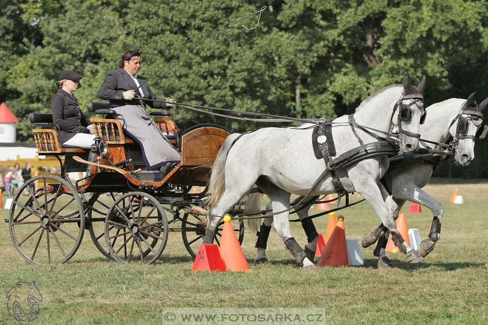 MČR Heřmanův Městec