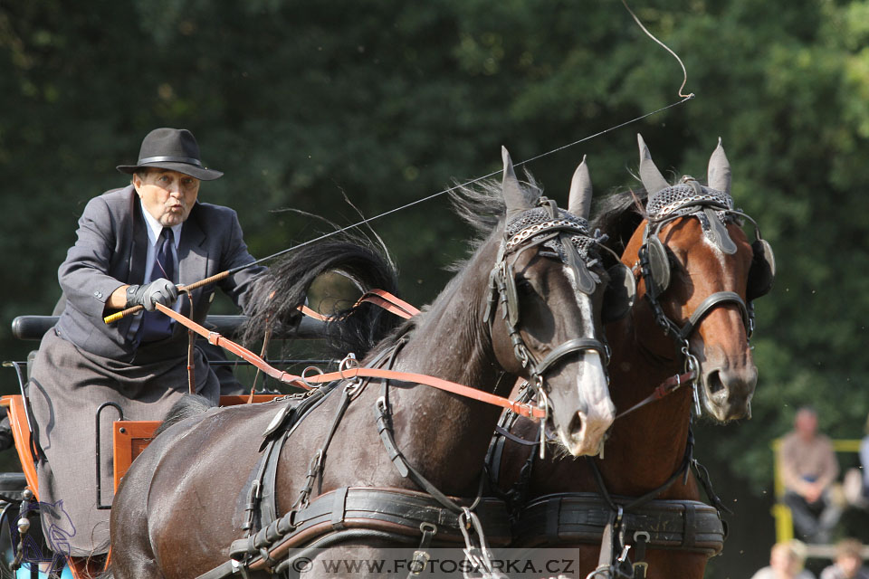 MČR Heřmanův Městec