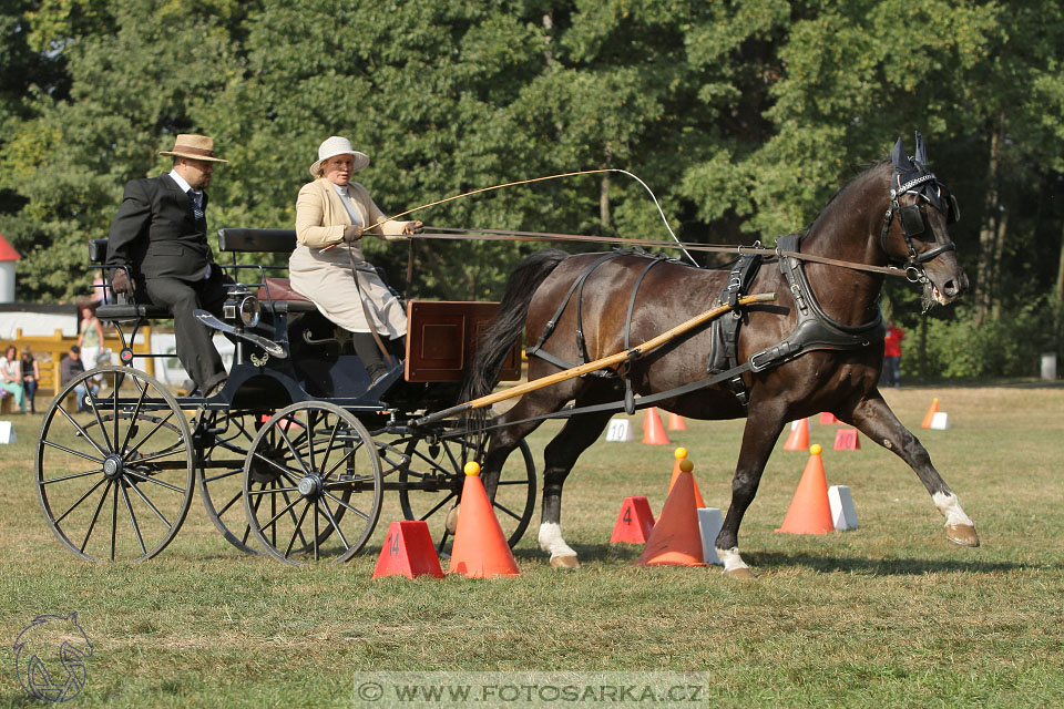 MČR Heřmanův Městec