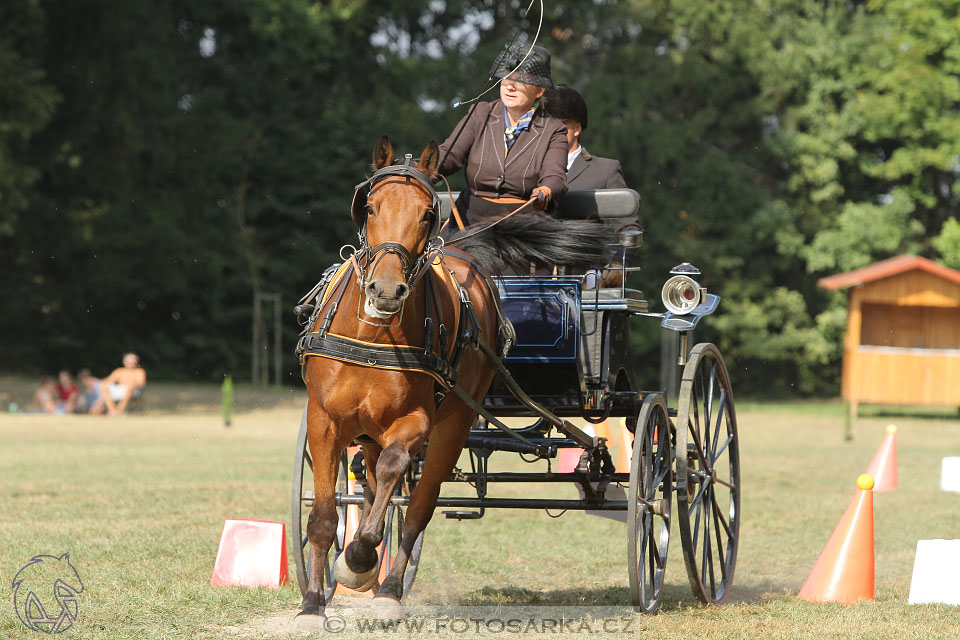 MČR Heřmanův Městec