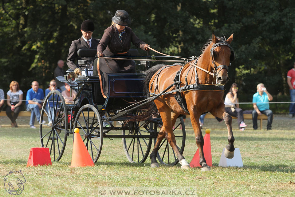 MČR Heřmanův Městec