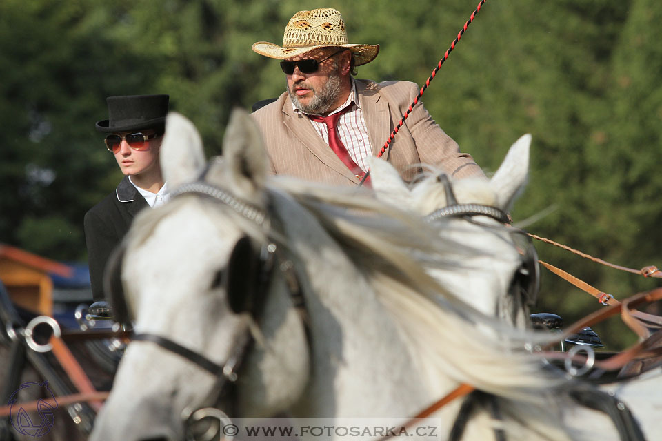 MČR Heřmanův Městec