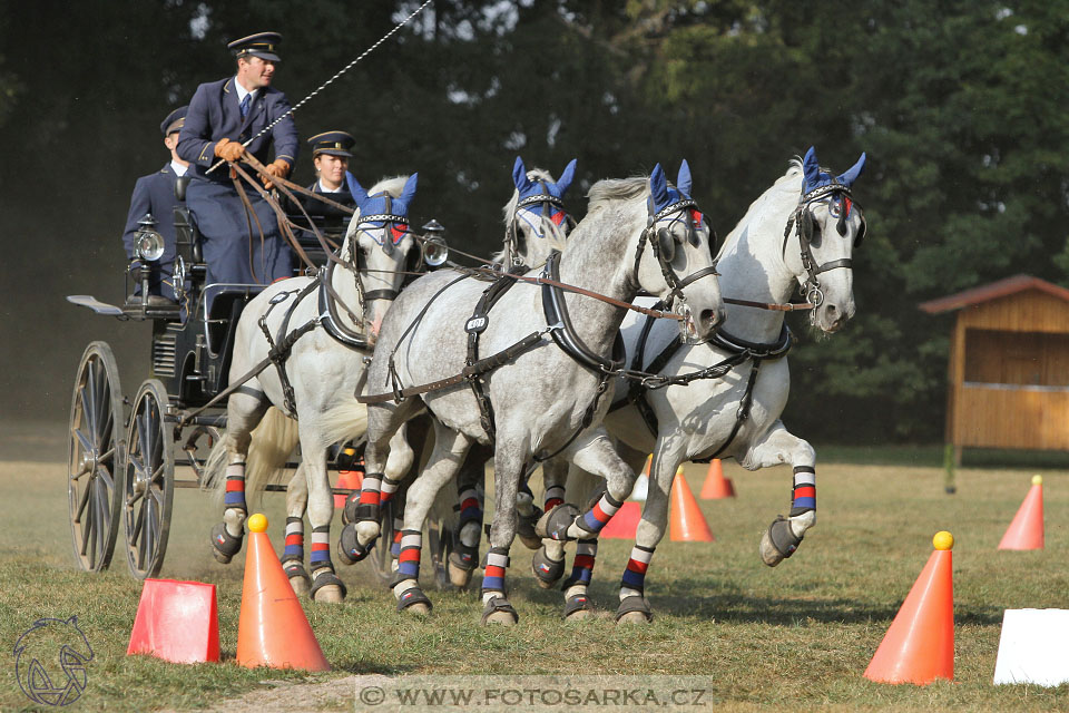 MČR Heřmanův Městec