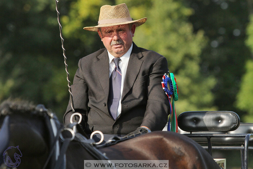 MČR Heřmanův Městec