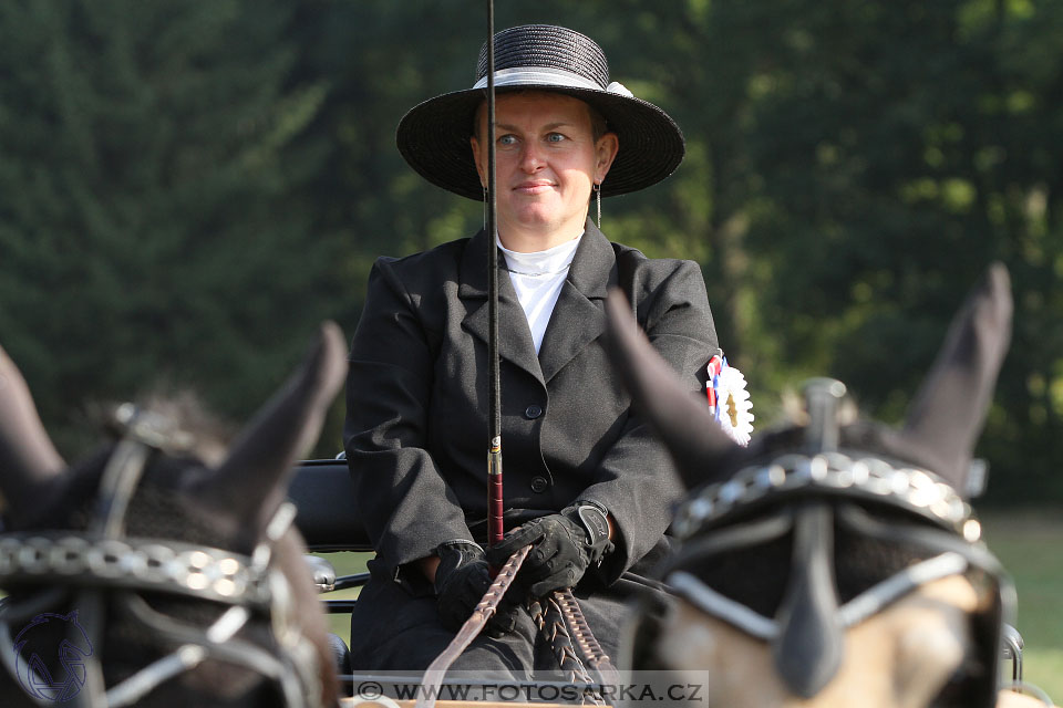 MČR Heřmanův Městec