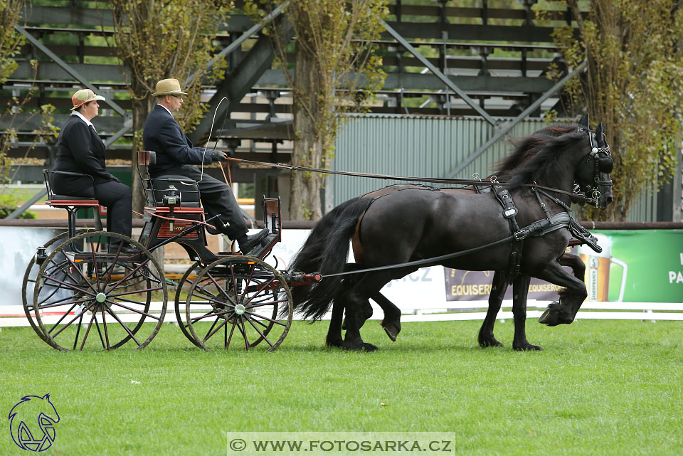 MČR Pardubice 2017 - drezury